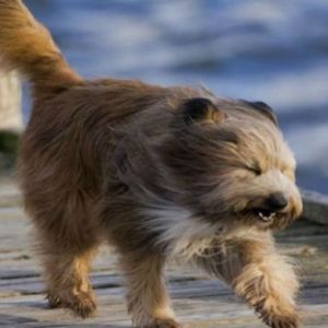 На Одесскую область надвигается сильный циклон