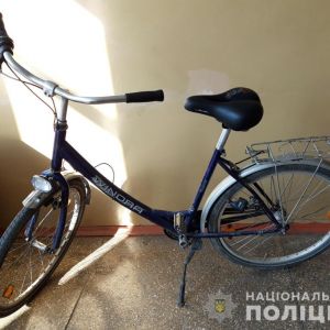 В Измаиле камеры видеонаблюдения помогли найти "угонщика" велосипеда (ФОТО)