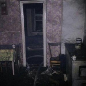 В Одесской области горел частный дом, погибли два человека - мать и ребенок (ФОТО)