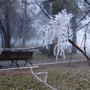 Погода в Измаиле 4 декабря