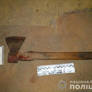 В Измаильском районе мужчина ударил по голове топором собутыльника (ФОТО)