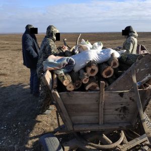 Пограничники Измаильского отряда в Ренийском районе задержали незаконных лесорубов