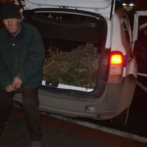 В Измаиле возле мэрии мужчина спилил ветви голубой ели (ФОТО)