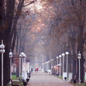 Погода в Измаиле 11 декабря