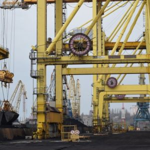 Черноморский порт продолжает принимать животных, не создав им условий