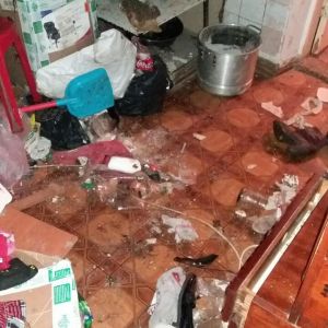 В Измаильском районе женщина бросила троих голодных детей дома с бойцовскими собаками (фото)