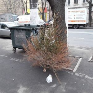 Хранил до последнего: одессит выбросил старую елку за три дня до Нового года — фотофакт