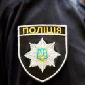 Брата с сестрой правоохранители привлекли к административной ответственности за насилие в семье