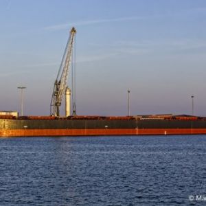 В Индийском океане с борта иностранного судна пропал моряк из Одесской области