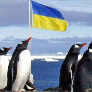 Украина отправит в Антарктиду крупнейшую за 18 лет экспедицию