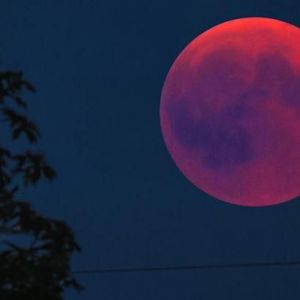 Кровавая луна: жителей Одесской области этой ночью ожидает редкое зрелище