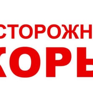 Агафангел призывал священников не запрещать вакцинацию от кори в Одесской области