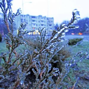 Погода в Измаиле 26 января