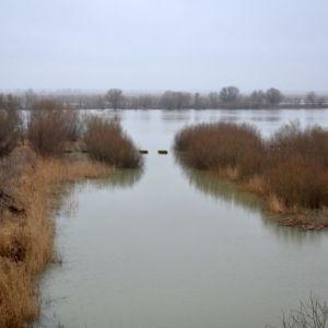 Американская кинорежиссер снимает фильм о бессарабском озере Сасык