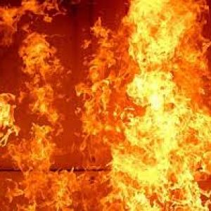 Пожары в Одесской области прошедшей ночью снова привели к трагическим последствиям