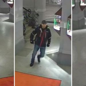 Похитителя кaртины Aйвaзовского из одесского музея зaдержaли в Aмстердaме