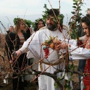 Жителей Бессарабии приглашают в город Болград на праздник виноградарей «Трифон Зарезан»