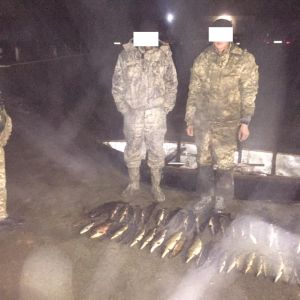 Пограничники с помощью тепловизора на Дунае обнаружили браконьеров со щуками