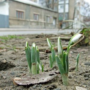 Погода в Измаиле 9 февраля