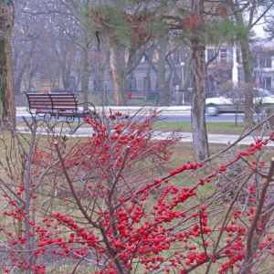 Погода в Измаиле 11 февраля