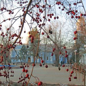Погода в Измаиле 25 февраля