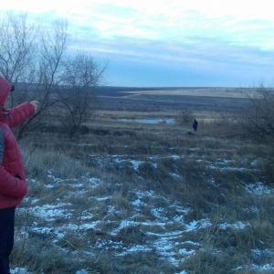 Измаильские и молдавские пограничники задержали нарушителя госграницы