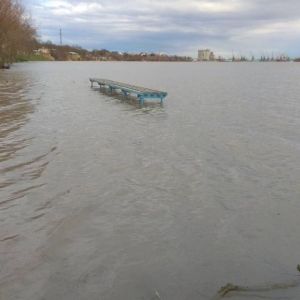 Высокое половодье на Дунае: синоптики прогнозируют подтопление портов Рени и Измаил