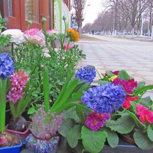Погода в Измаиле 27 февраля