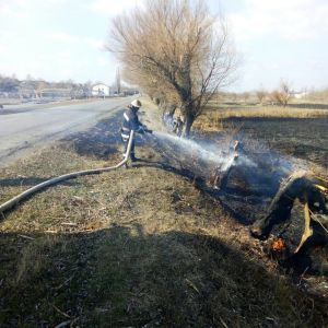 Спасатели Измаила призывают не сжигать сухую траву - это вредит экосистемам