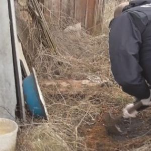 Закопала в огороде: под Одессой мать задушила своего ребенка