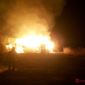 В Затоке тушили пожар - с сухой травы огонь перекинулся на территорию кемпинга (ФОТО)