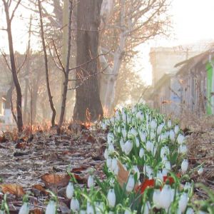 Погода в Измаиле 5 марта
