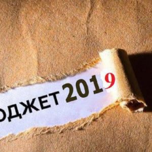 Одесская область за два месяца направила в сводный бюджет Украины более 3,7 миллиарда гривен