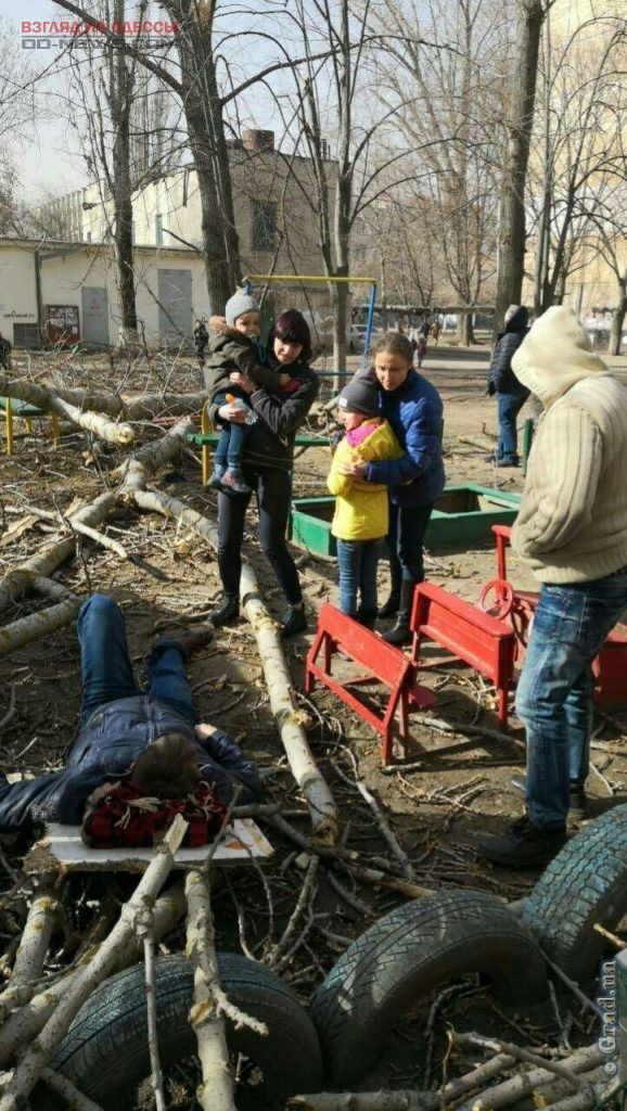В Одессе на детскую площадку рухнуло дерево: есть пострадавшие В Одессе на детскую площадку рухнуло дерево: есть пострадавшие