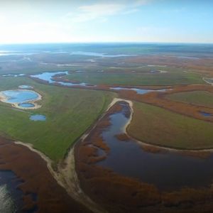 Экологи собрали почти 20 тысяч евро на снос плотин на реке Когильник в Дунайском биосферном заповеднике