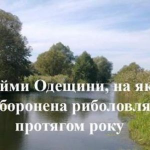 Стало известно, где в Одесской области запрещена рыбалка в любое время года
