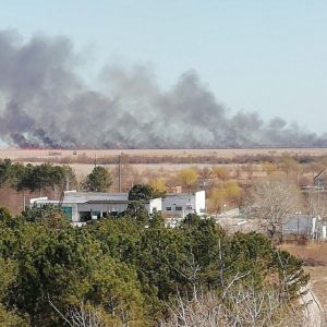 Пожар в Вилковском лесничестве потушили - с огнём боролись 80 человек (ФОТО, ВИДЕО)