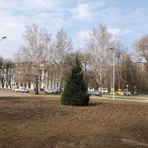 В Измаиле на Площади Победы благоустраивается большая клумба (ВИДЕО)