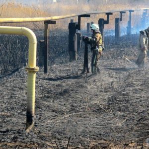 Очередное возгорание камыша на окраине Одессы едва не привело к взрыву газопровода (фото)