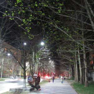 Погода в Измаиле  26 марта