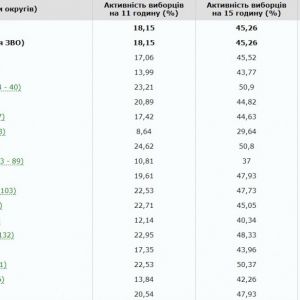 Явка по Одесской области составила 59,26% - чуть ниже первого тура