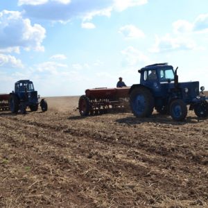 Стало известно, как повлияла непогода на урожай в Украине