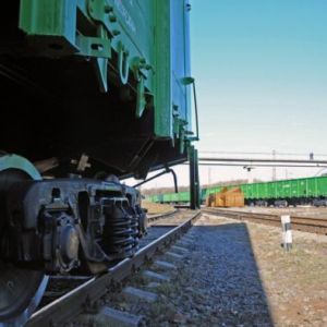 В Одесской области грузовой поезд смертельно травмировал мужчину, который пас скот возле колеи