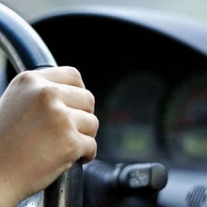 Одесского водителя напугала змея, которая во время движения вылезла из-под капота на лобовое стекло