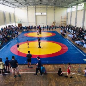 250 юных борцов: Измаил встречает памятный турнир по вольной борьбе