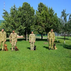В Измаильский погранотряд на службу прибыли 13 кинологов со служебными собаками