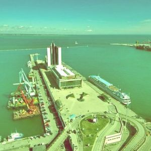 АМПУ: коллекторные и сточные воды вместе с жарой стали причиной цветения водорослей под Одессой
