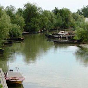 Уровень воды в Дунае поднялся до критической отметки