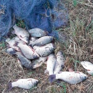 В Болградском районе задержали браконьера