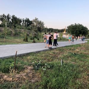В Измаиле сегодня днем на набережной в Крепости вандалы сломали под корень семь молодых деревьев (ФОТО, ВИДЕО)